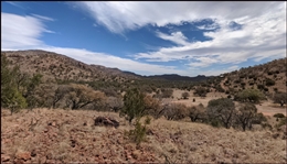 Texas Hudspeth County 40 Acre Property! Fantastic Recreational Investment Great for Hunting! Low Monthly Payments!