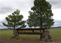 Northern CA Approx 1 Acre Modoc County California Pines Recreational Homesite! Special Low APR and Low Monthly Payments!