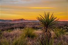 Texas 41 Acre Hudspeth County Property! Superb Camping Recreation and Hunting! Low Monthly Payment!