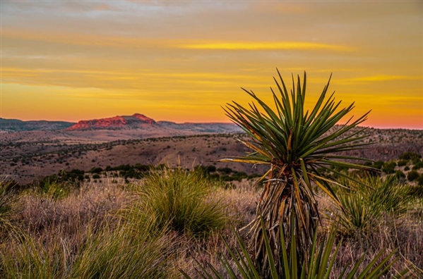 Texas 10 Acre Hudspeth County River Adjacent Property with Dirt Road Access Easement! Fantastic Investment and Recreation! Low Monthly Payments!