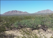 Texas Hudspeth County 10 Acre Fantastic Recreational Land Property with Dirt Road! Great Investment! Low Monthly Payments!