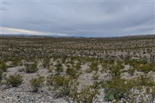 Texas Rare Off Grid Dirt Road Frontage Recreational 10 Acre Presidio County Land near Big Bend Ranch National Park! Low Monthly Payments!