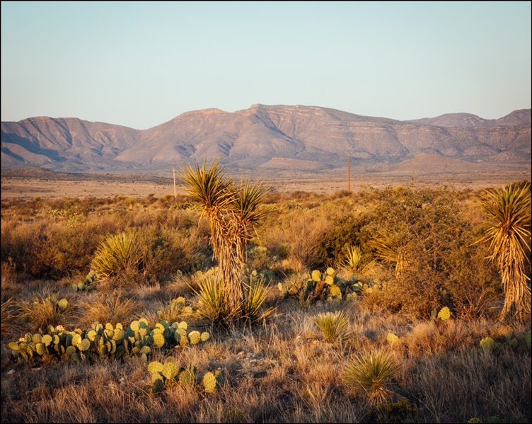 Texas Hudspeth County 10 Acre Property! Great Recreational Investment near River and Dirt Road with Easement! Low Monthly Payments!