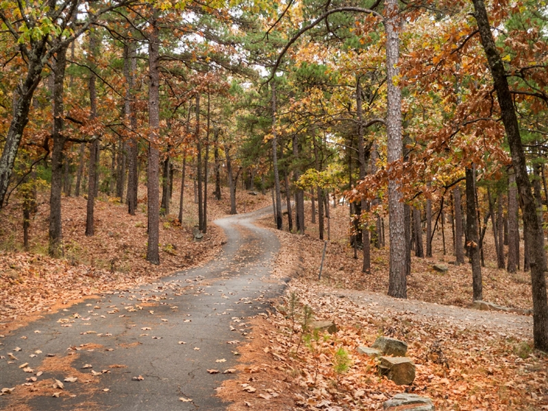 CASH SALE Lot in Cherokee Village Sharp County Arkansas Great Homesite With Amenities File 4918277