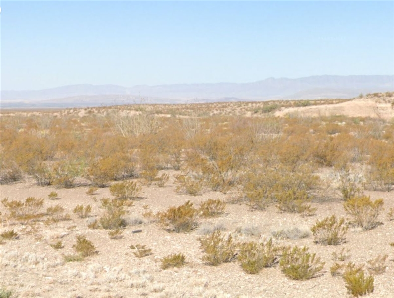 Texas Presidio County 40 Acre Property! Superb Investment in Recreational Use and Stargazing Area near Big Bend National Park! Low Monthly Payments!