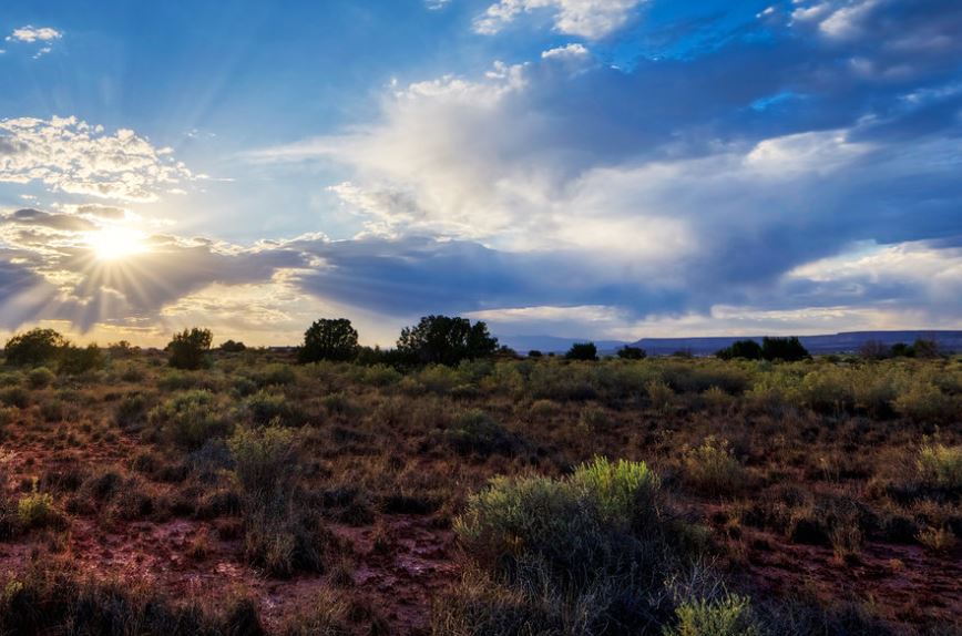 Lot Detail - Valencia County Platted Subdivision Lot near Albuquerque ...