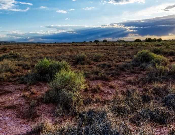 Lot Detail - Valencia County Platted Subdivision Lot near Albuquerque ...