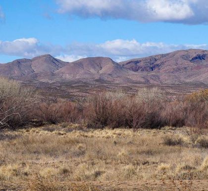 Lot Detail - Valencia County Platted Subdivision Lot near Albuquerque ...