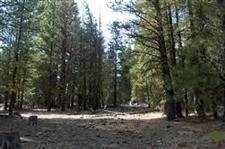 Modoc County California 1 Acre Lot In Beautiful California Pines Subdivision! Low Monthly Payments!