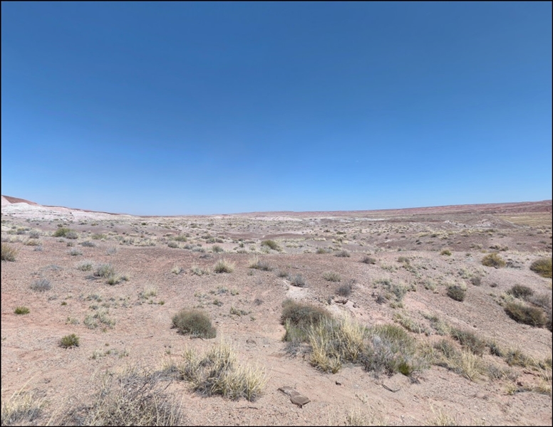 Arizona Navajo County 40 Acre Land! Great Recreational Investment near Petrified Forest National Park! Low Monthly Payments!