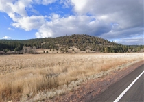 1 Acre Modoc County California Property in Gorgeous California Pines Subdivision! Low Monthly Payments!