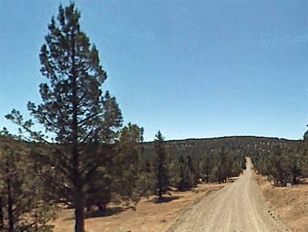 Northern California Modoc County Approx 1 Acre Property Investment in Great Recreational Area! Low Monthly Payments!