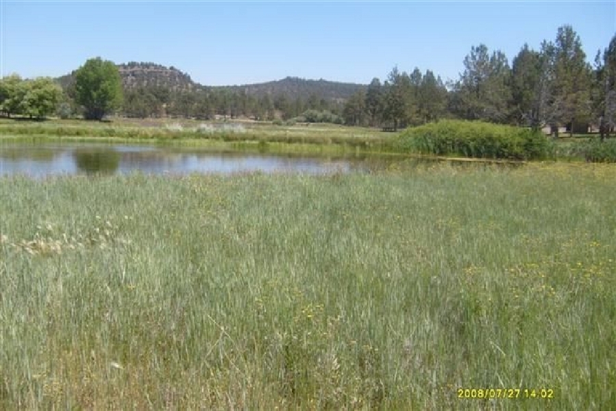 Northern California 1.15 Acre Property in Beautiful Modoc Recreational Estates! Low Monthly Payment!