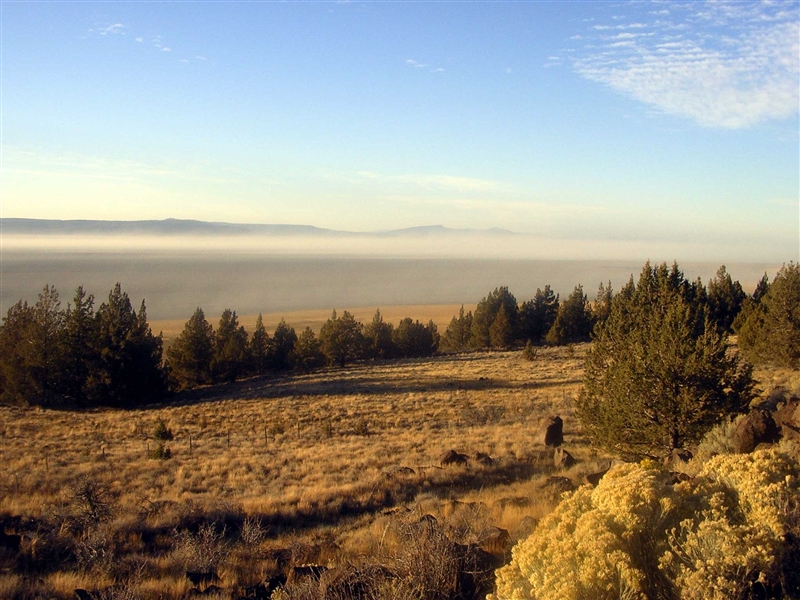 Northern California 1.15 Acre Property in Beautiful Modoc Recreational Estates! Low Monthly Payment!