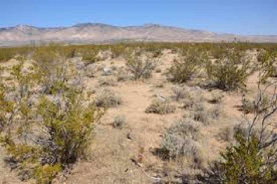 SOUTHERN CALIFORNIA LOT IN KERN COUNTY AVAILABLE WITH LOW MONTHLY PAYMENTS!