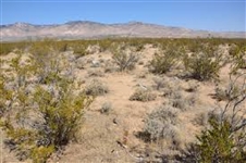 Kern County Lot in California City! Great Investment With Low Monthly Payments!
