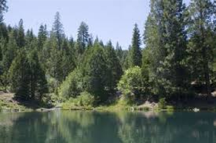 Northern California Modoc County Property in California Pines Subdivision! Low Monthly Payments!