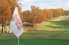 CASH SALE! Golf Couse Adjacent Property in Cherokee Village Fulton County Arkansas! File 4821594