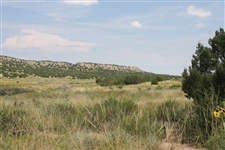 Colorado City Lot in Pueblo County with Mountain Views near Campsite! Low Monthly Payments!