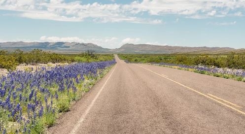 Texas Hudspeth County 21 Acre Land Investment Near Dell City And Highway Route! Low Monthly Payment!