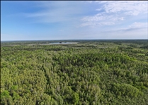 CANADA ONTARIA 27.5 ACRE STUNNING LAND! EXCELLENT RECREATION NEAR LAKE! LOW MONTHLY PAYMENTS!