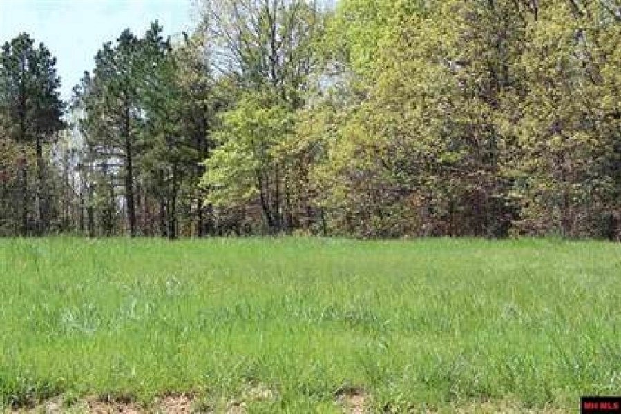 Cherokee Village Lot In Sharp County Arkansas! Great Recreation With Low Monthly Payments!