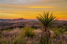 10.71 Acre Texas Parcel in Hudspeth County! Land of the Great American West! Low Monthly Payments!