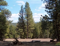 California Pines Approx 1 Acre Recreational Homesite Northern CA Modoc County! Low Monthly Payment!