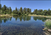 Northern Cal Modoc County Aprox 1 Acre Unbeatable Recreational Homesite Location of California Pines! Low Monthly Payment!