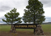 California Pines Approx 1 Acre Modoc County Homesite Property in Amazing Recreation Location! Low Monthly Payment