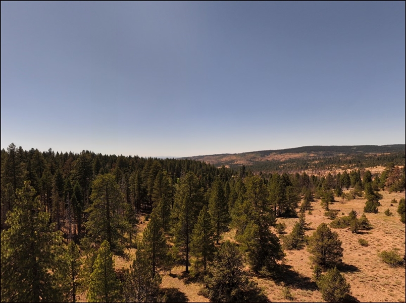 Northern California Modoc County 0.92 Acre Lot! Homesite Area Great For Recreational Outdoor Enthusiasts Actives! Low Monthly Payment!