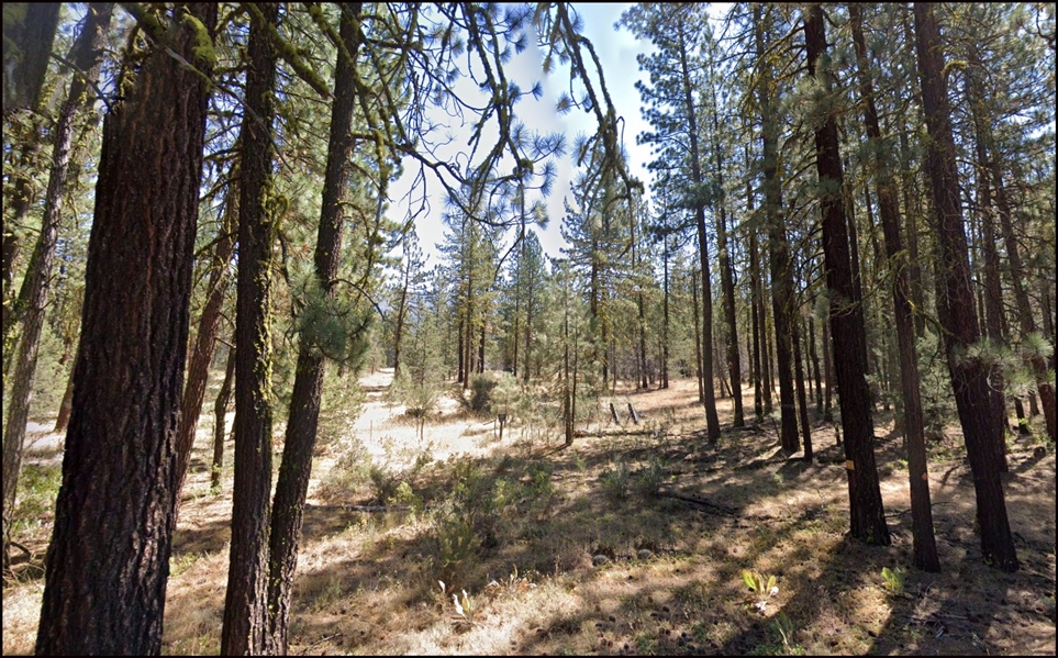 Northern California Modoc County 1.1 Acre Property! Great Recreation! Low Monthly Payments!