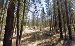 Northern California Modoc County 1.1 Acre Property! Great Recreation! Low Monthly Payments!