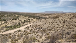 Texas Hudspeth County 14.9 Acre Property! Great for Recreation and Investment off Dirt Roads near Highway! Low Monthly Payments!