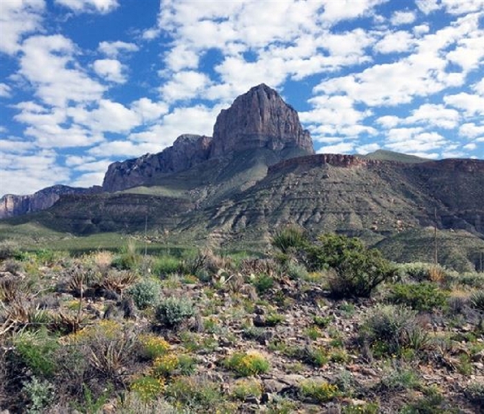 Great Land Use Options Hudspeth County Texas Lot in Dell Garden Estates! Low Monthly Payments! 