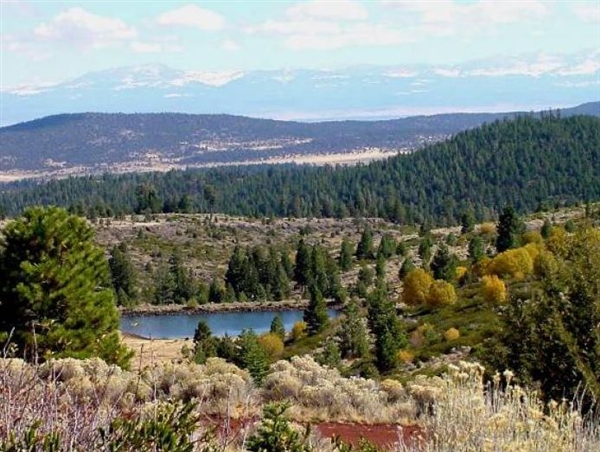 California Pines Approx 1 Acre Recreational Homesite Northern CA Modoc County! Low Monthly Payment!