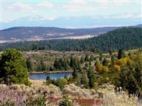 California Pines Approx 1 Acre Recreational Homesite Northern CA Modoc County! Low Monthly Payment!