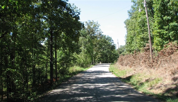 CASH SALE! Residential Lot in Ozark Acres Arkansas Sharp County! Great Investment Land! File 8622534