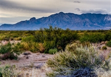 Texas 11.42 Acre Hudspeth County Dirt Road Frontage Land Parcel near River and Mountains! Low Monthly Payments!