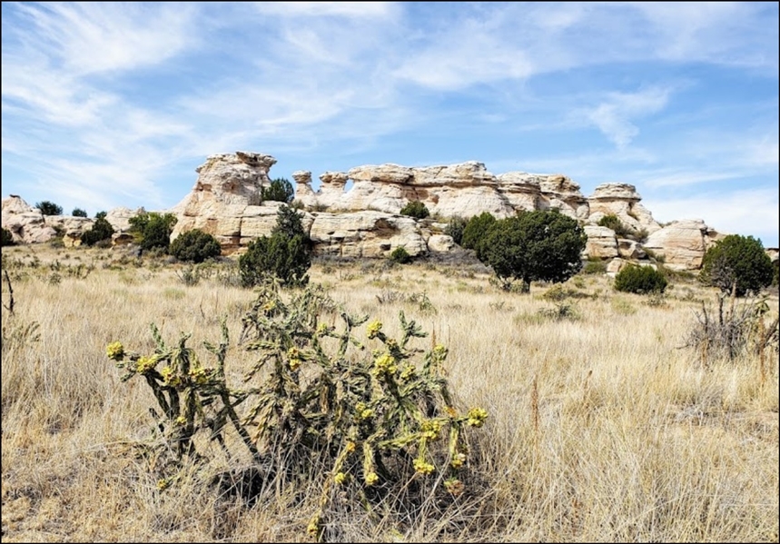 Colorado Bent County 38.64 Acre Property! Large Acreage Open Prairie Investment Land! Low Monthly Payments!