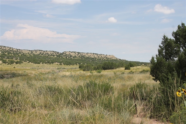 Colorado City Lot in Pueblo County with Mountain Views near Campsite! Low Monthly Payments!