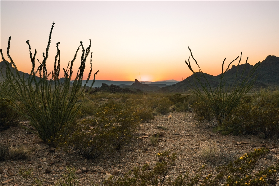 Texas Presidio County 40 Acre Property! Great Investment and Recreation! Special Low APR and Low Monthly Payments!