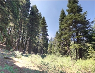 Northern California Modoc County 1 Acre Property! Superb for Recreation or Land Development! Low Monthly Payments!