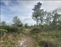 CASH SALE! Florida Polk County 1.25 Acre Centrally Located Land in a Unique and Private Area! File 1825124