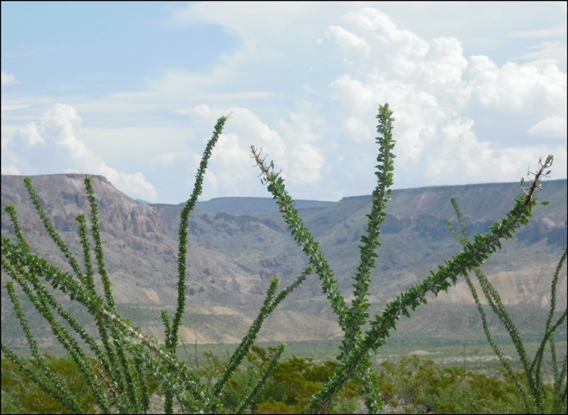 Texas Presidio County 10 Acre Recreational Property off Dirt Road Trail near Highway! Desert Serenity Mountain Views! Low Monthly Payment!