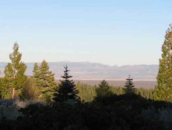 Modoc County Northern CA Approx 1 Acre Property in California Pines with Low Monthly Payments!