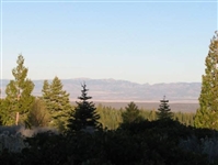 Modoc County Northern CA Approx 1 Acre Property in California Pines with Low Monthly Payments!