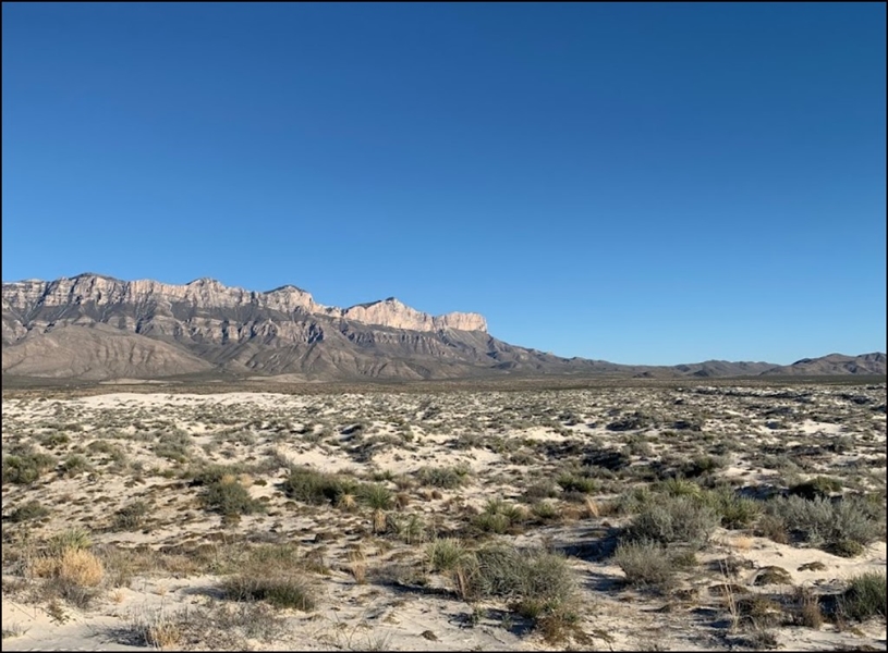 Texas Hudspeth County Dell Garden Estates Lot! Great Land Use Options near National Park! Low Monthly Payments!