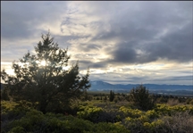 Northern California Siskiyou County 2.1 Acre Property Near Mount Shasta! Amazing Views! Great Homesite Investment! Low Monthly Payments!