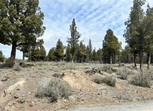 Northern California 1.46 Acre Modoc County Property! Beautiful Hunting Location of the County Great Homesite Investment! Low Monthly Payment!